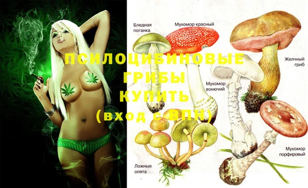 прущие крисы Карталы