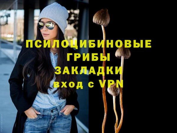 прущая мука Вяземский