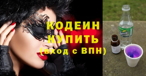 прущая мука Вяземский