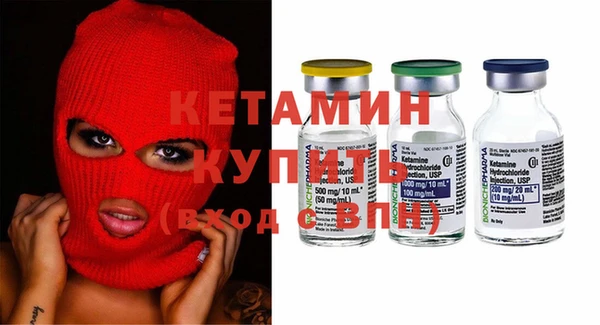 сатива Карпинск