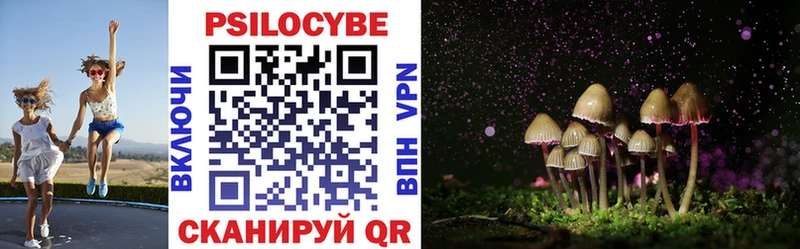 Галлюциногенные грибы Cubensis Зверево