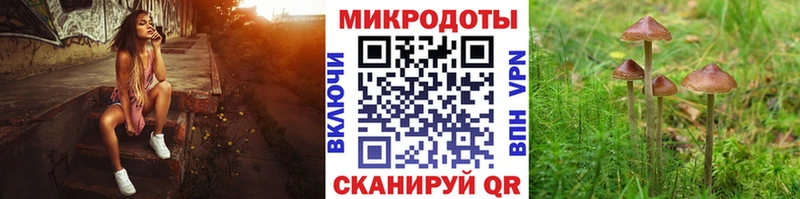 Псилоцибиновые грибы ЛСД Зверево